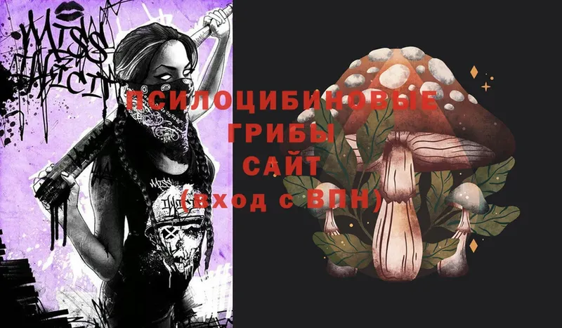 это наркотические препараты  Енисейск  Галлюциногенные грибы Psilocybe 